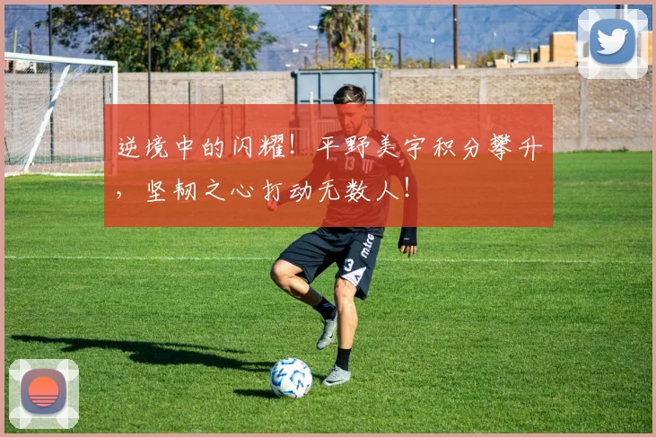 逆境中的闪耀!平野美宇积分攀升,坚韧之心打动无数人!