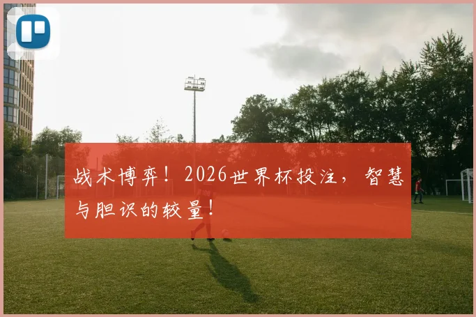 战术博弈！2026世界杯投注，智慧与胆识的较量！